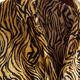 Unleash your beast - Dan Flashes' Cheetah Print Shirts