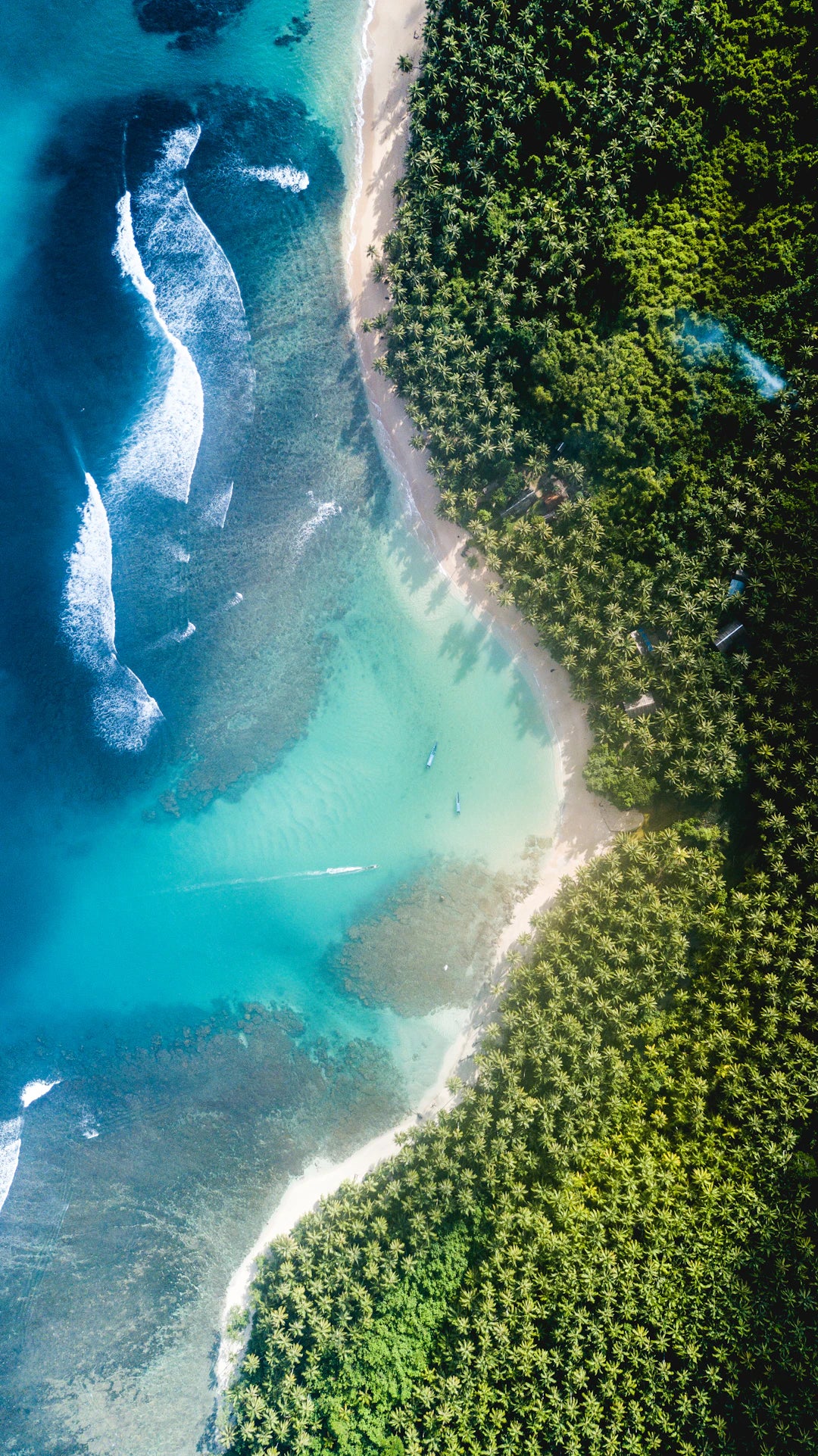 Ultimate Guide to Caring for Your Hawaiian Shirts