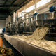 Bamboo pulp moving through fiber processing equipment