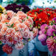 Charming Floral Shirts for Every Summer Occasion - Dan Flashes