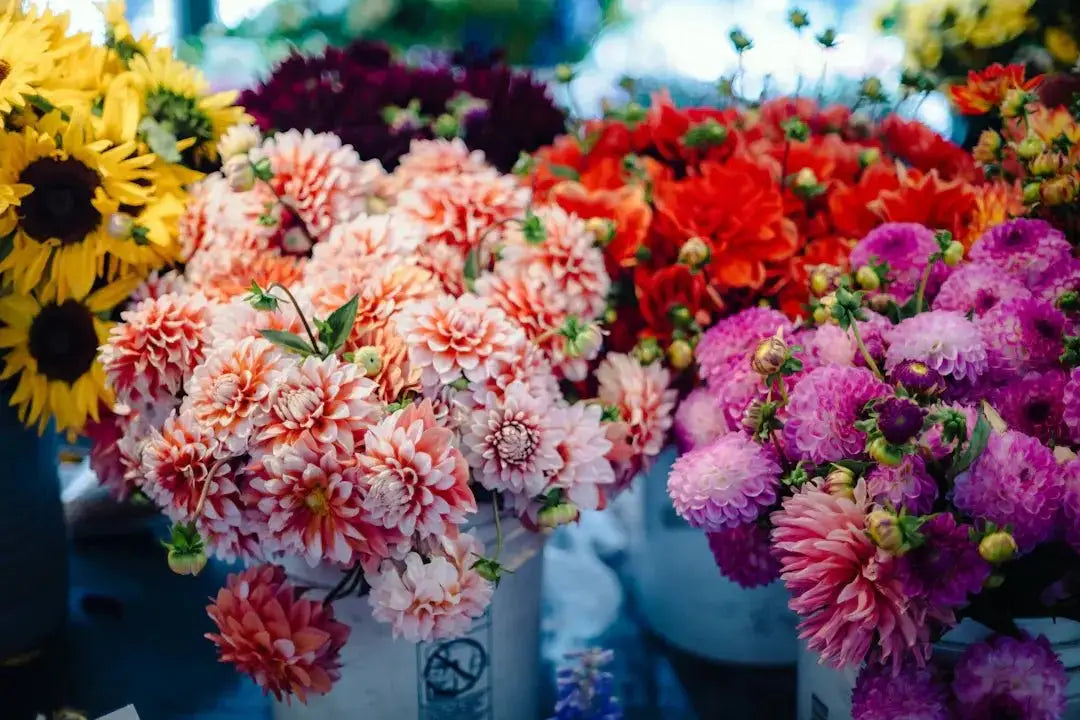 Charming Floral Shirts for Every Summer Occasion - Dan Flashes