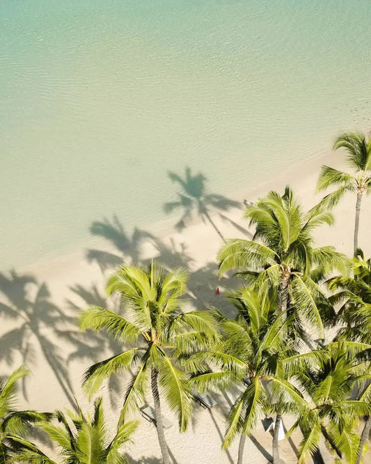 Elevate Your Laid-Back Look with Tropical Button-Ups - Dan Flashes