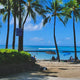 Elevate Your Vacation Style with Tropical Hawaiian Shirts - Dan Flashes