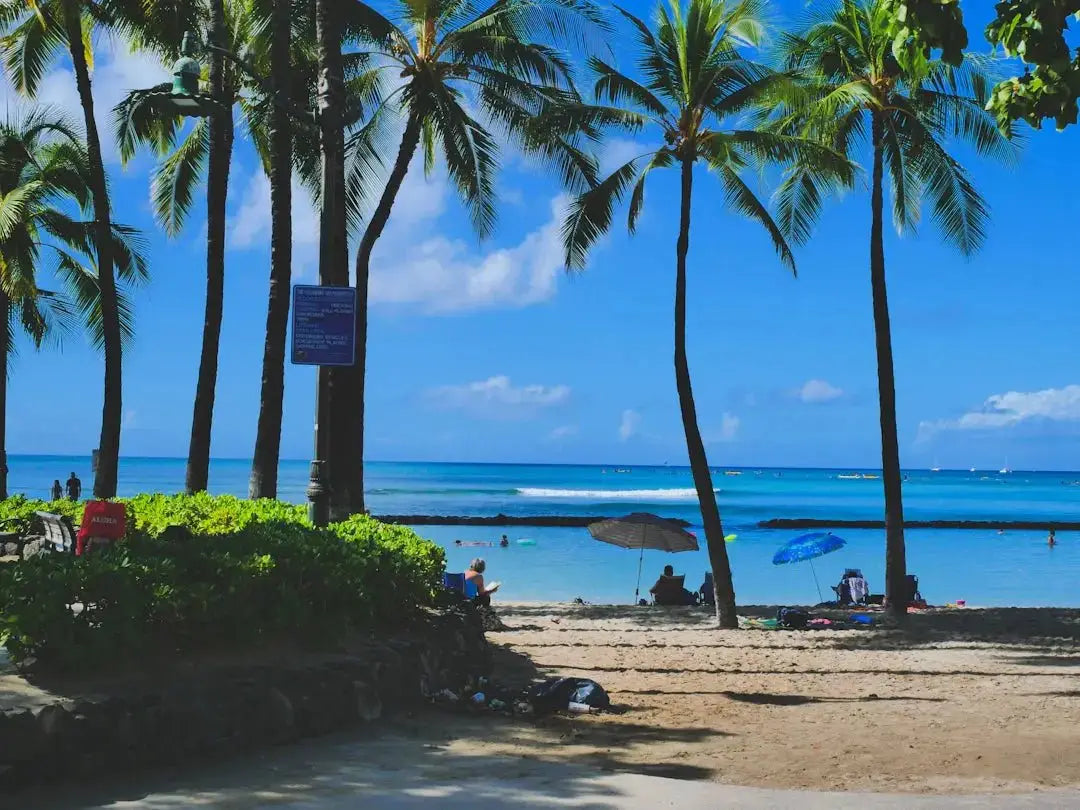 Elevate Your Vacation Style with Tropical Hawaiian Shirts - Dan Flashes