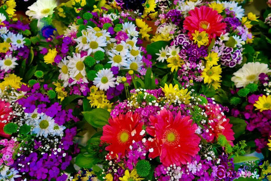 Floral Patterns for a Fresh Look: Embrace Vibrancy - Dan Flashes