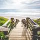 Hawaiian Shirt Parties: Your Ultimate Themed Gathering Guide - Dan Flashes