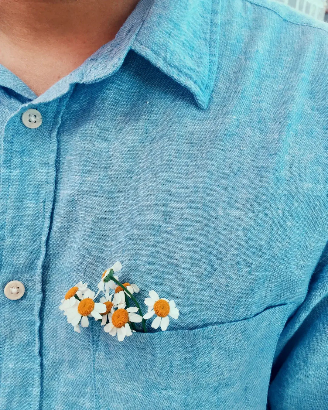 Stylish Button-Up Shirts for Effortless Casual Looks