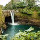 The Social Media Revolution: Hawaiian Shirt Trends Unveiled - Dan Flashes