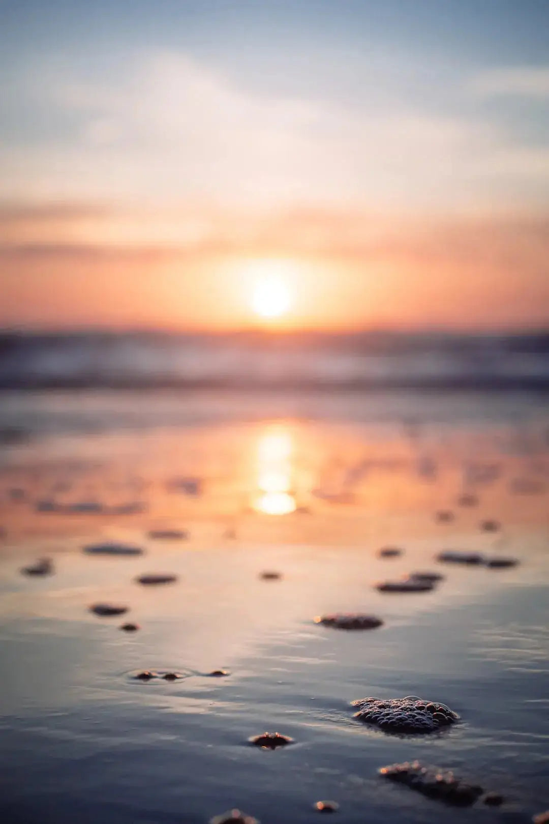 The Ties That Bind: Hawaiian Shirts and Tropical Escapes - Dan Flashes