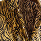 Unleash your beast - Dan Flashes' Cheetah Print Shirts - Dan Flashes