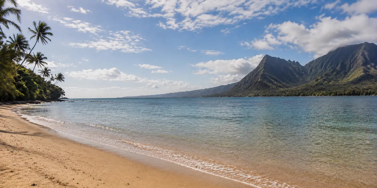 Scenic Hawaiian beach with blue water, golden sand, palm trees, and green mountains